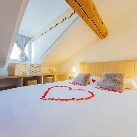 Chaleureux, Cosy En Hypercentre 公寓 *